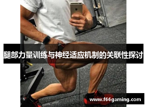 腿部力量训练与神经适应机制的关联性探讨